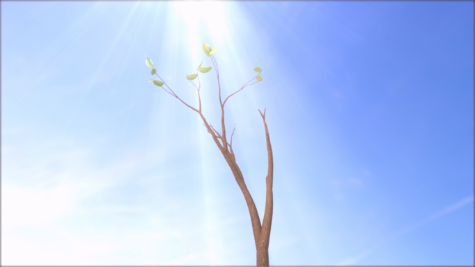 小树生长延时三维动画视频素材春天森林绿色