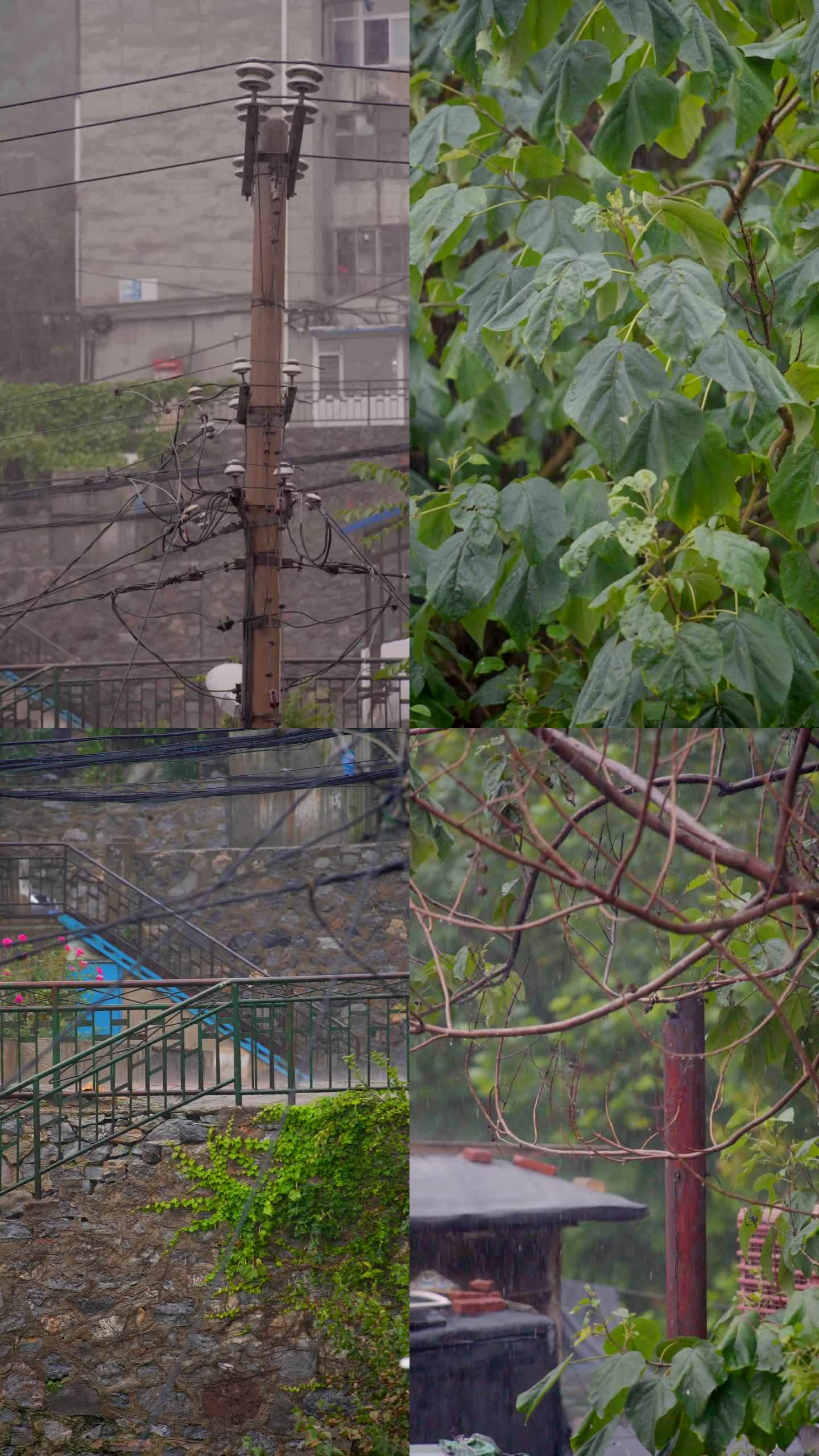 雨中的街道