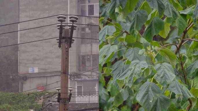 雨中的街道