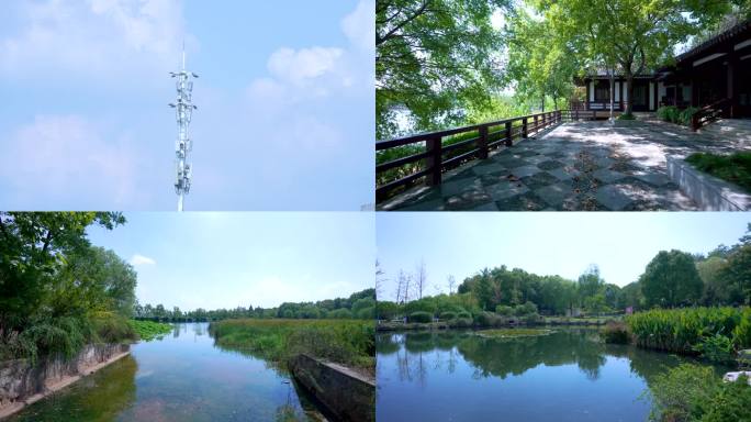 武汉蔡甸汤湖公园生态园林景观4K视频合集