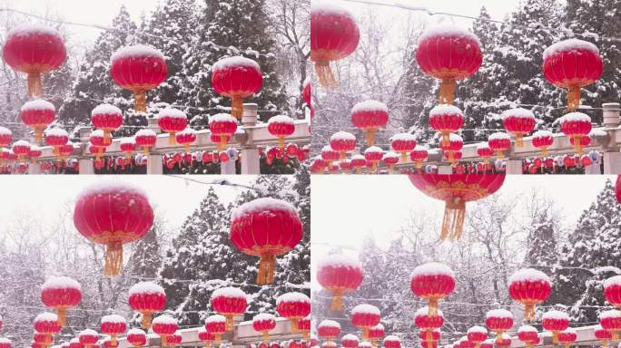 4K冬季唯美红灯笼被雪覆盖升格空镜头