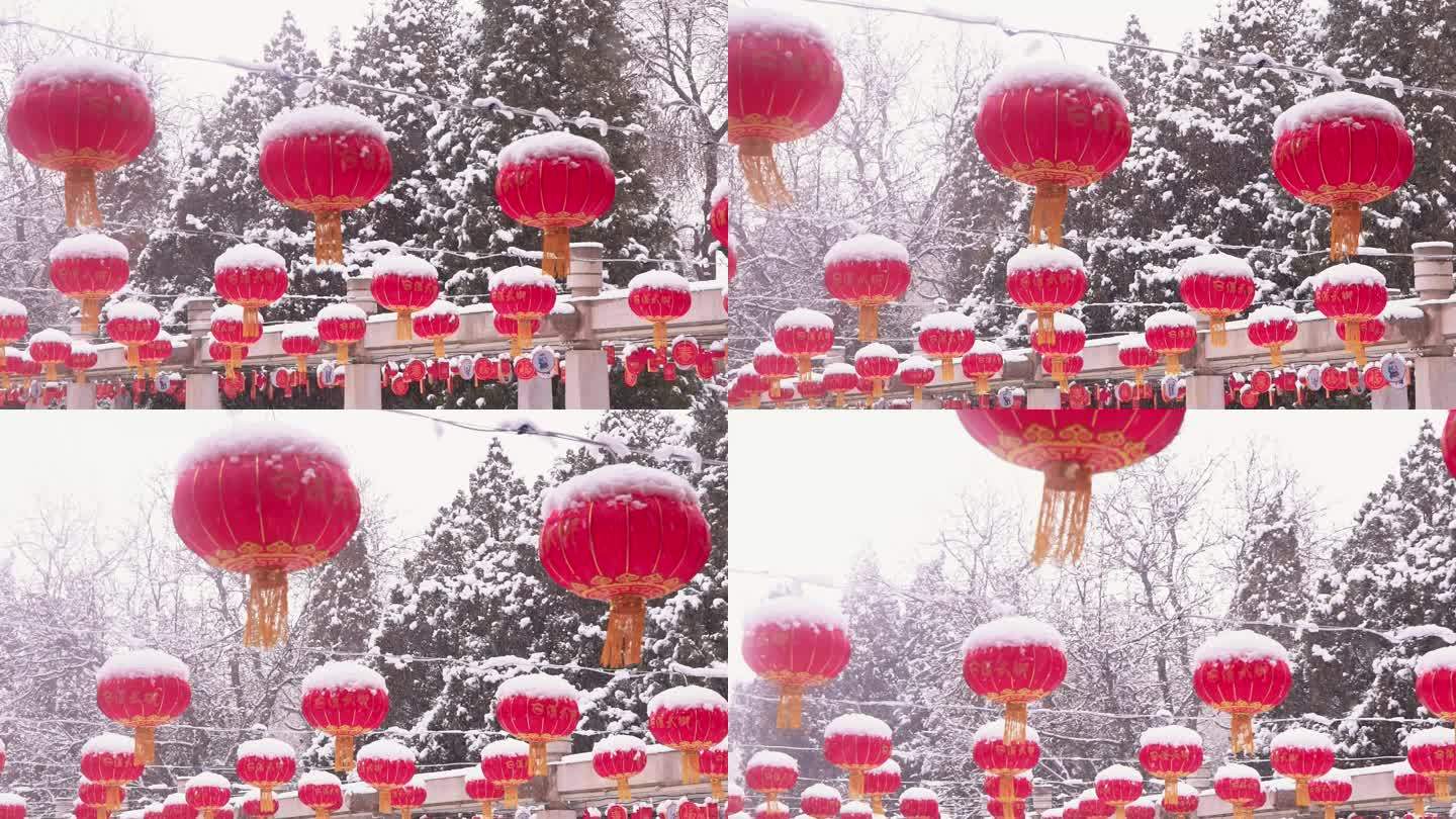 4K冬季唯美红灯笼被雪覆盖升格空镜头