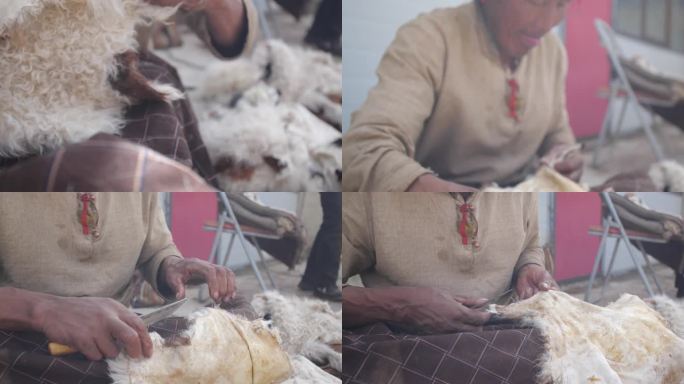 晒羊皮 揉羊皮 牛皮 羊皮 原始皮革