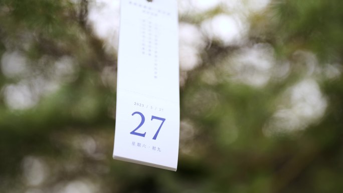 5月27日 上海解放日