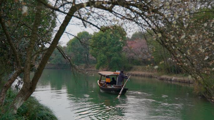 4k杭州西溪湿地手划船