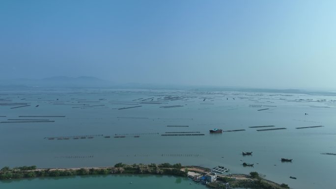 阳江海岸线生蚝养殖场航拍4K视频