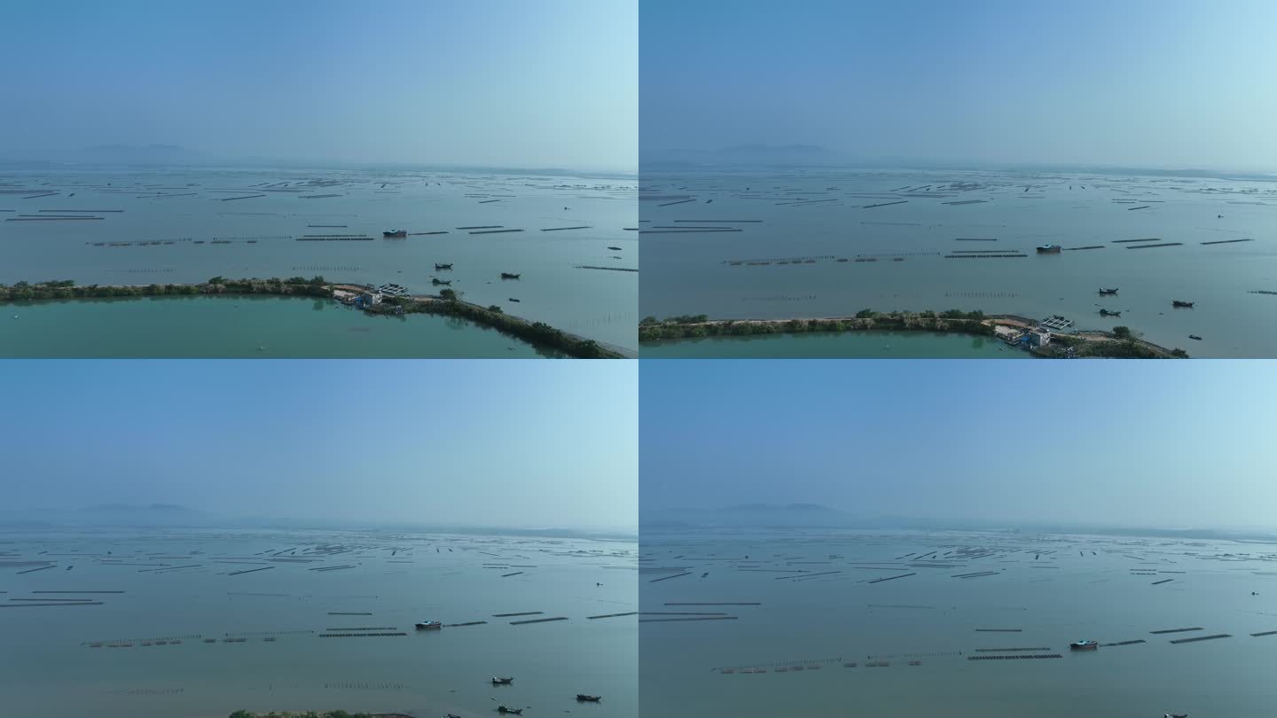阳江海岸线生蚝养殖场航拍4K视频