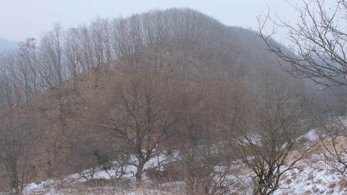 冬天秦岭山深处岭南公园的雪景