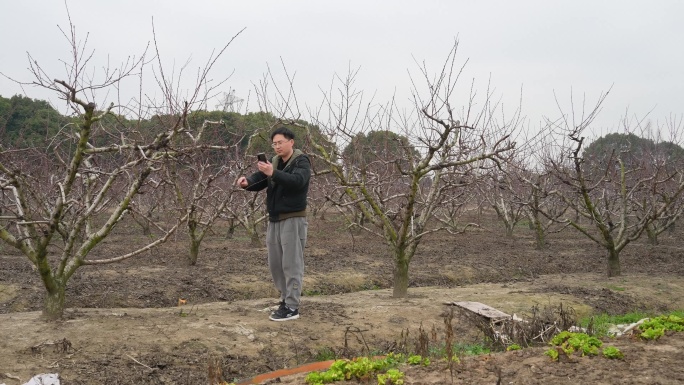 田间地头开直播