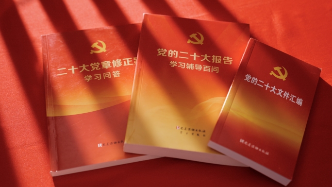 党徽党建党旗入党宣誓学习