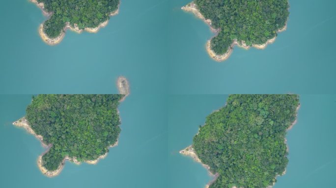 俯拍湖中森林岛屿