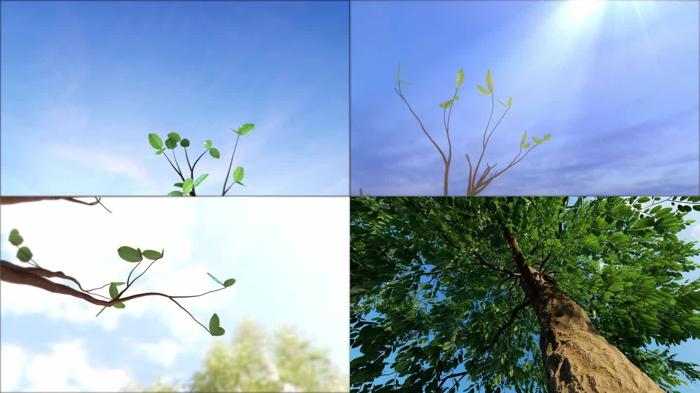 小树树苗发芽生长三维动画视频素材春天绿色