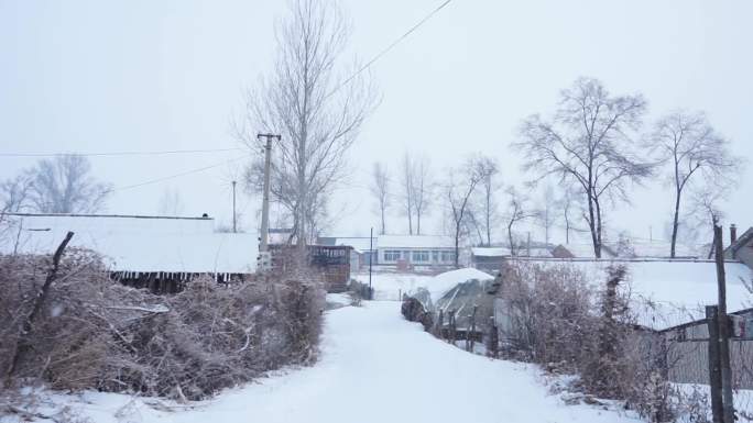 东北下雪农村景象