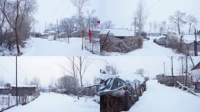 东北下雪农村景象