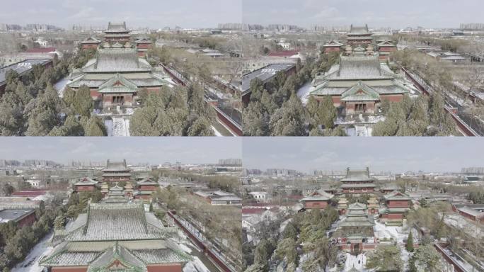 正定大佛寺 隆兴寺雪后