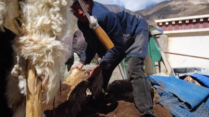西藏羊皮加工 踩踏羊皮 软化羊皮