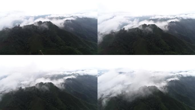 高山 大自然  云海  风景