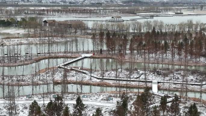 扬州北湖湿地公园雪景原创4K