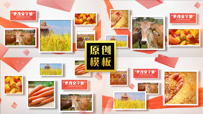 119图农村经济图文产业扶持照片图片包装