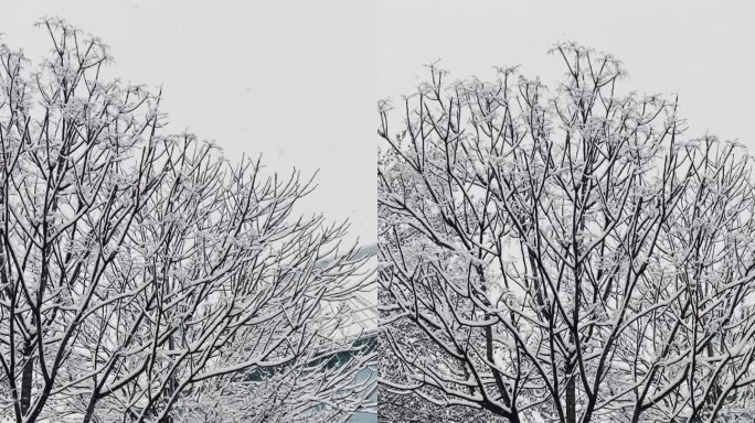 北京798冬季雪景初雪废旧车间老厂房