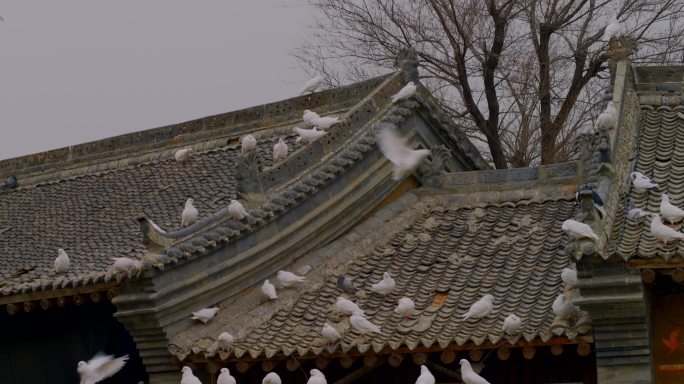 乡村建设-三农-古村-旅游圣地城墙堡垒