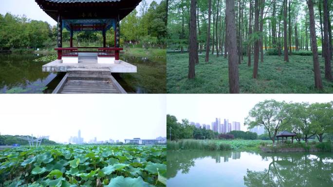 武汉汉阳月湖风景区风光4K实拍合集