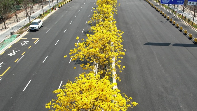 【正版素材】城市道路