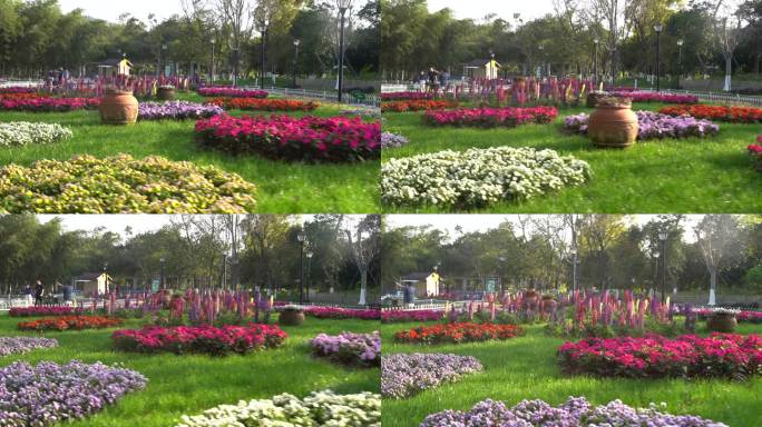 台州温岭锦屏公园鲜花C0414