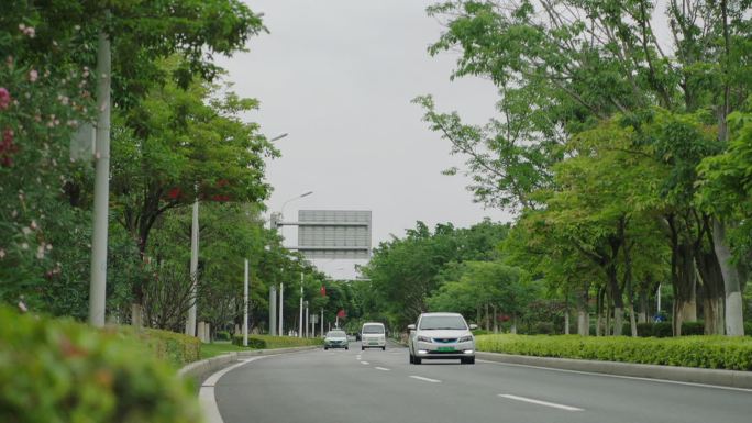 交通 车划过 车行驶 阴天 刮风 道路