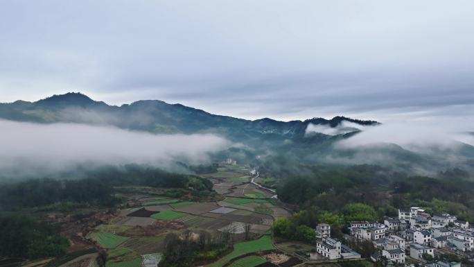 航拍黄山山区雨后云海