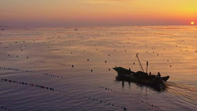 清晨-海-收获-渔船