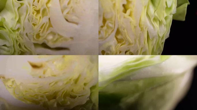 【镜头合集】嘎达白圆白菜包菜蔬菜 (2)