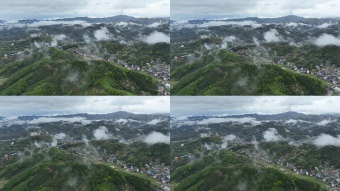 江南浙江绍兴诸暨山区春天雨后乡村山村竹山