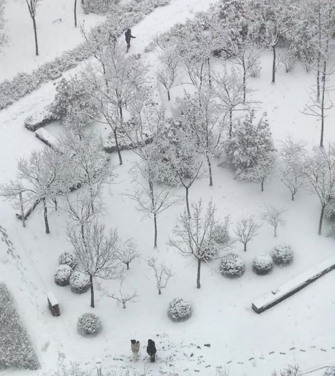 竖屏 银装素裹 下雪 孤独的人 大雪