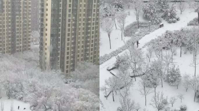 竖屏 银装素裹 下雪 孤独的人 大雪