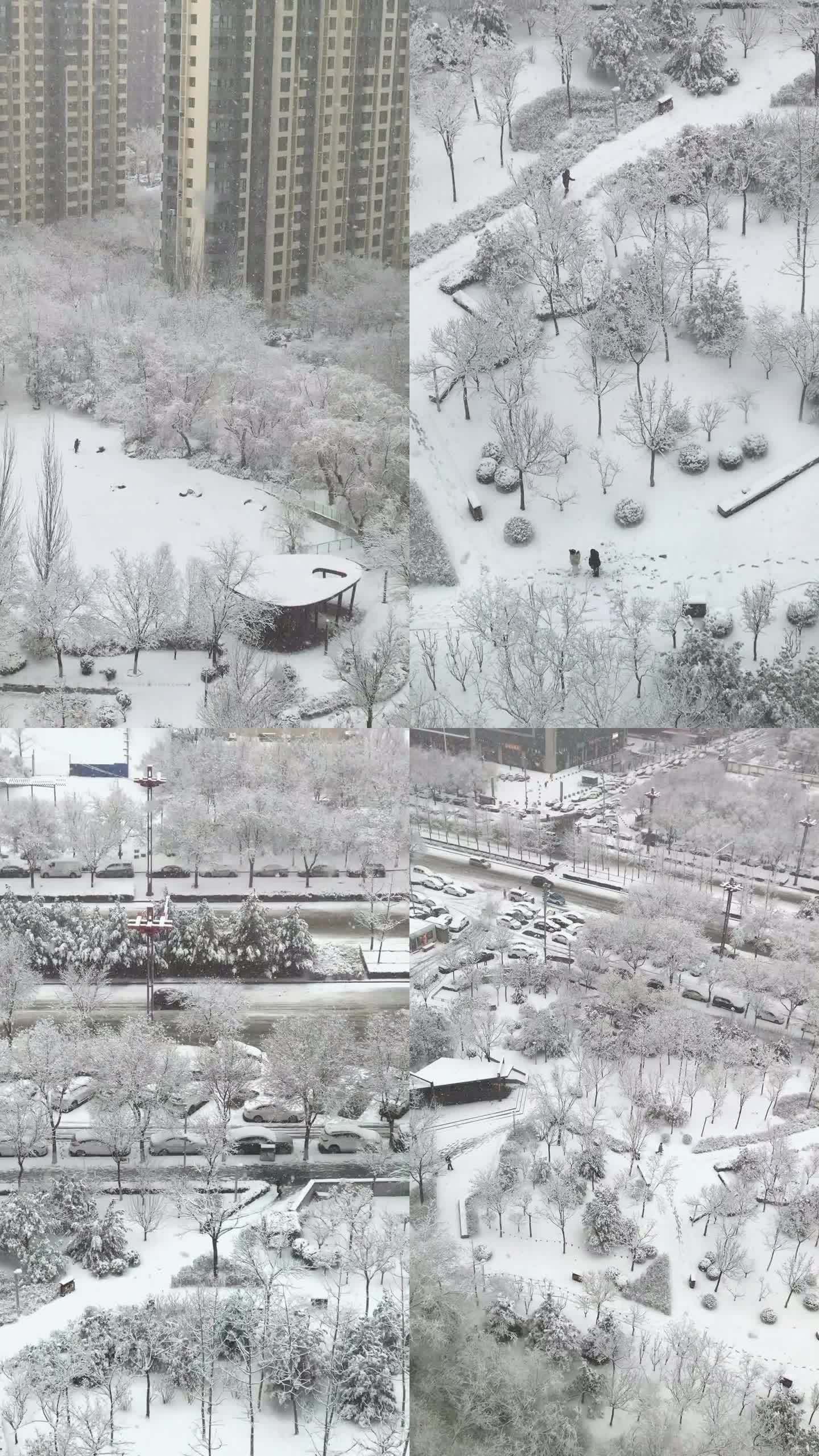 竖屏 银装素裹 下雪 孤独的人 大雪