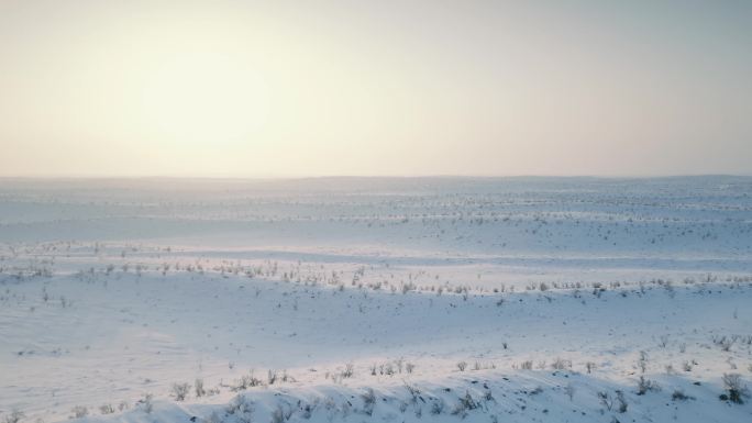 冬季新疆乌阿高速公路服务区海子沙漠