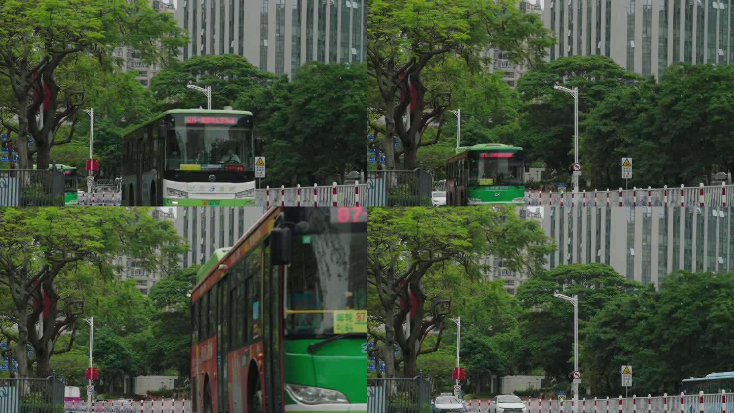 交通 车划过 城市公交 阴天 刮风 道路