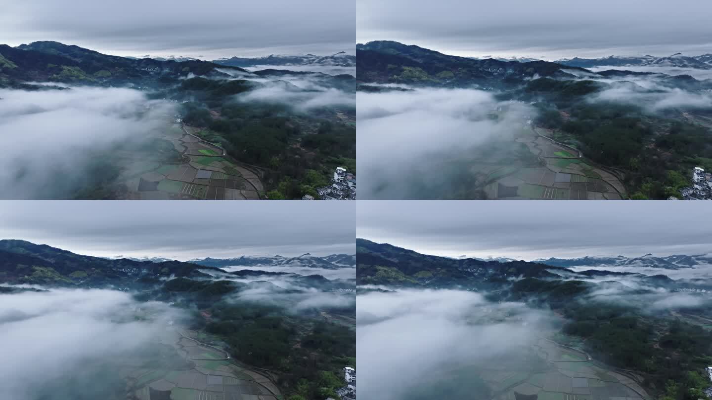 航拍黄山山区雨后云海