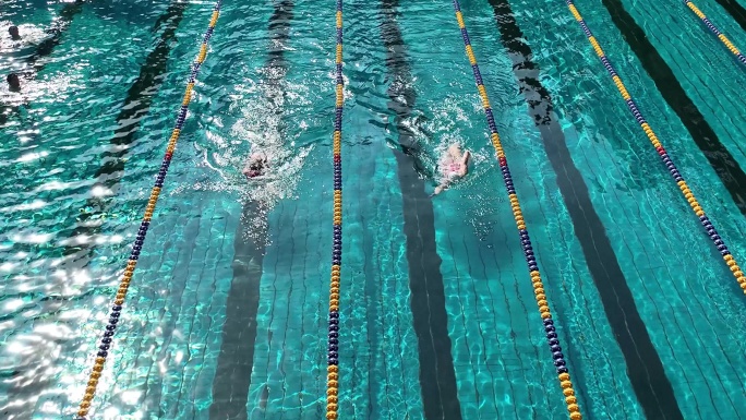 游泳运动员跳入水体育赛事活动仰泳蛙泳航拍