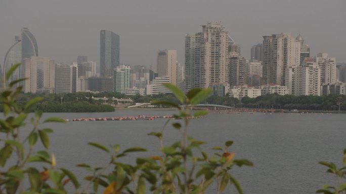 城市 湖泊 江景房 楼房 沿海城市