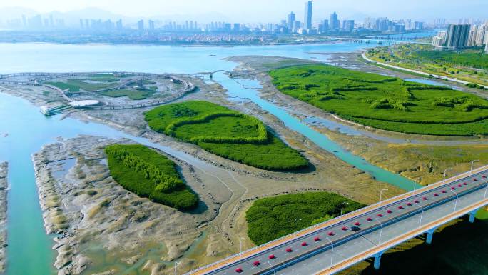 4K超清厦门翔安下潭尾湿地公园建设