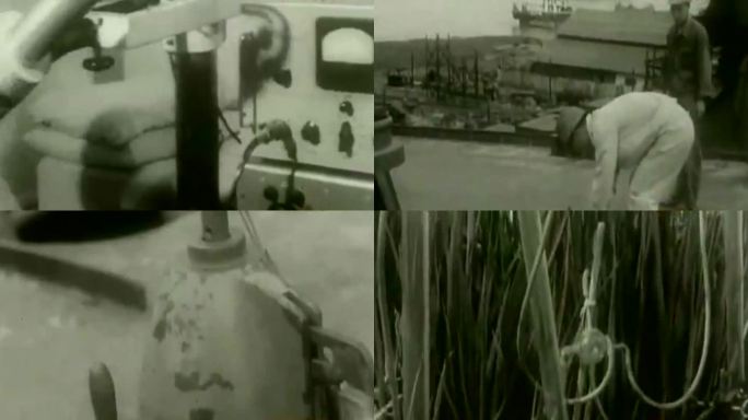 50年代科学家实验影像