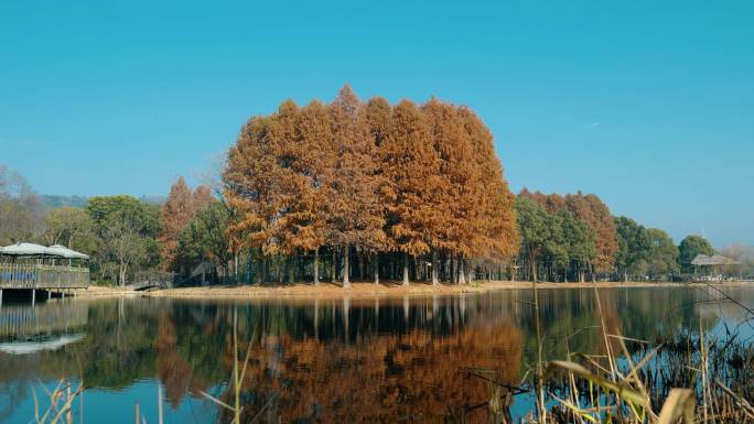 湖畔空镜，湖边景色，湖岸风景，湖水空镜头