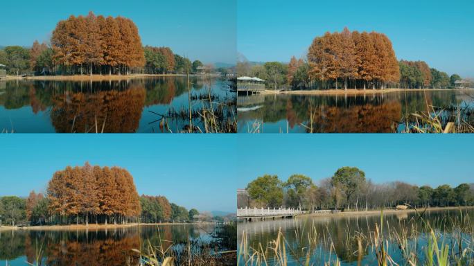 湖畔空镜，湖边景色，湖岸风景，湖水空镜头