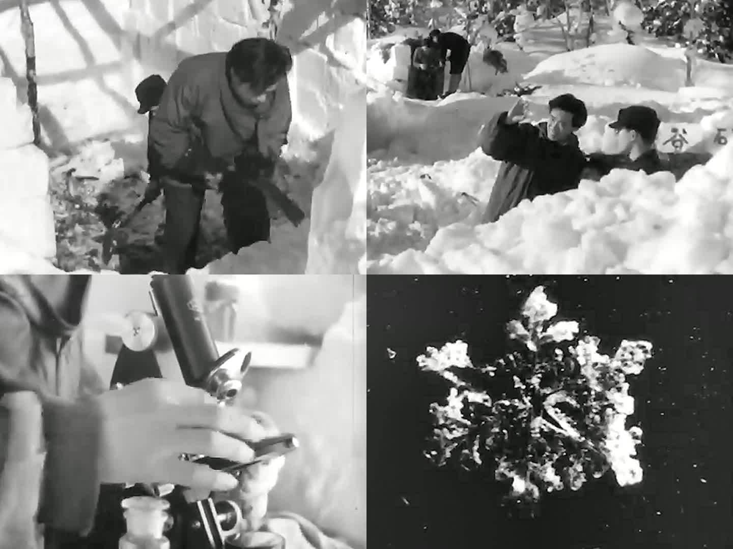 1950战后日本 冬季科研