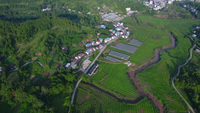 乡村振兴 农田农业