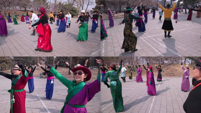 公园里学习排练藏族舞蹈的老人们