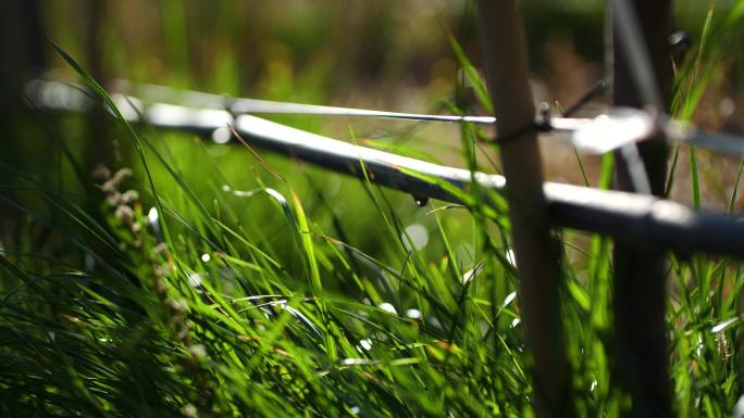 灌溉自动化 绿化浇水喷头 农田灌溉