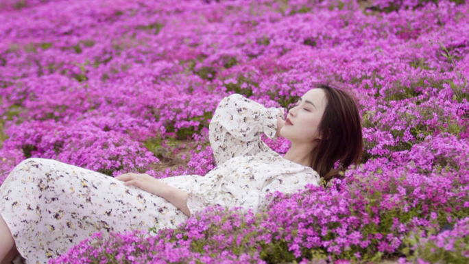 年轻女子躺在粉色的芝樱花海中
